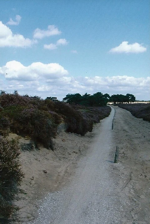 Balloerveld Loop via Stroet Weg