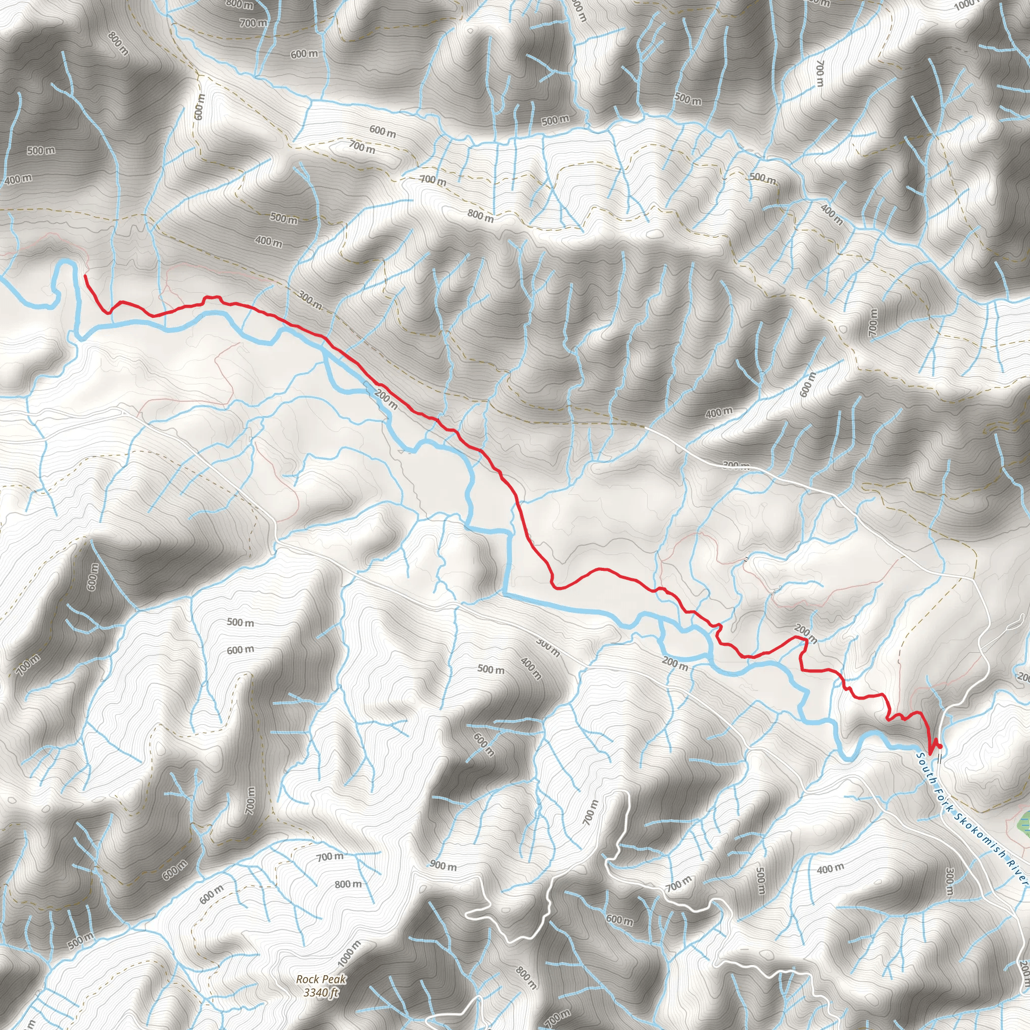 Lower South Fork Skokomish River Trail mobile static map