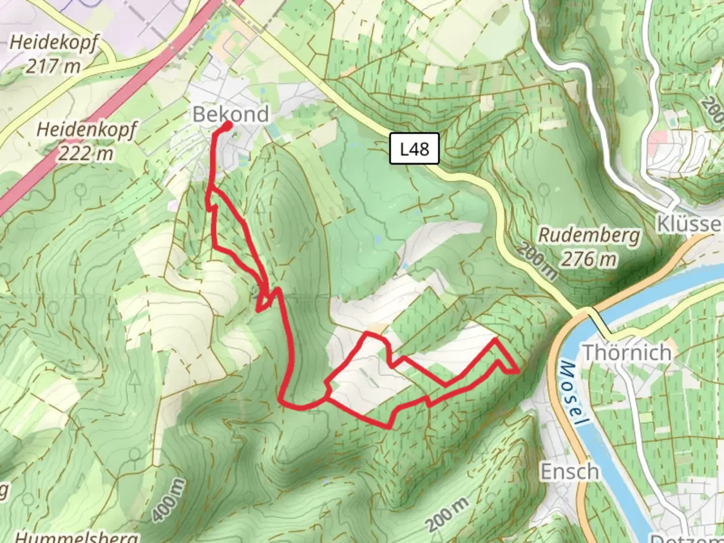 An image depicting the trail Zitronenkraemerkreuz Loop and its surrounding area.