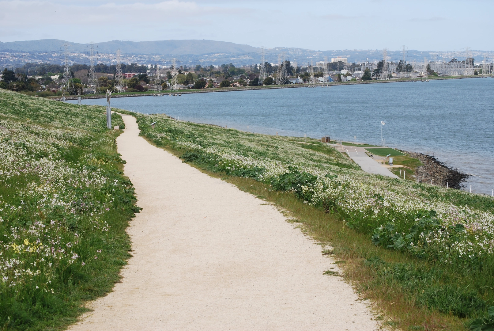 An image depicting the trail San Francisco Bay Trail and its surrounding area.