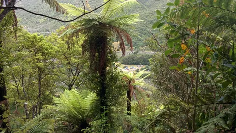 Ōtaki Forks - Fenceline Loop