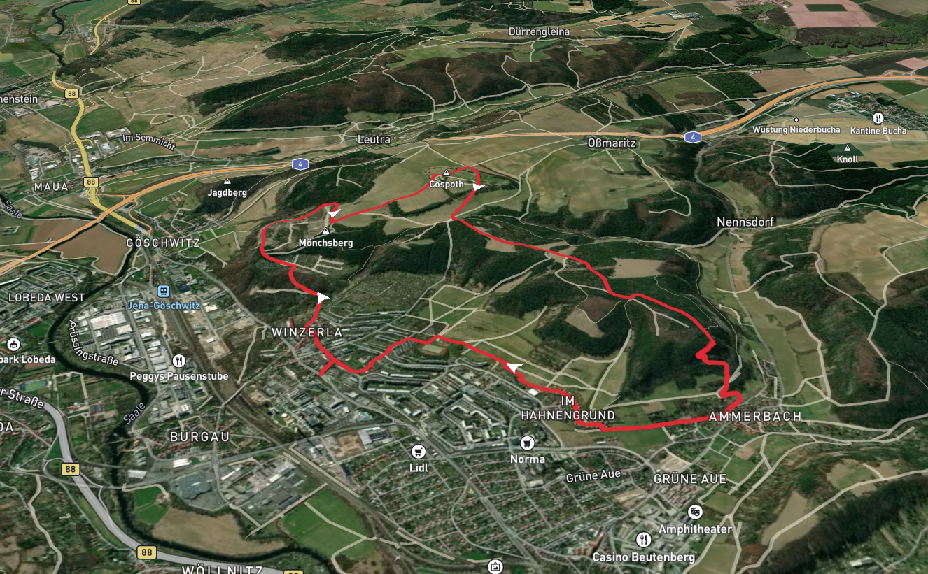 Stein Labyrinth, Cospoth and Lammerberg Loop