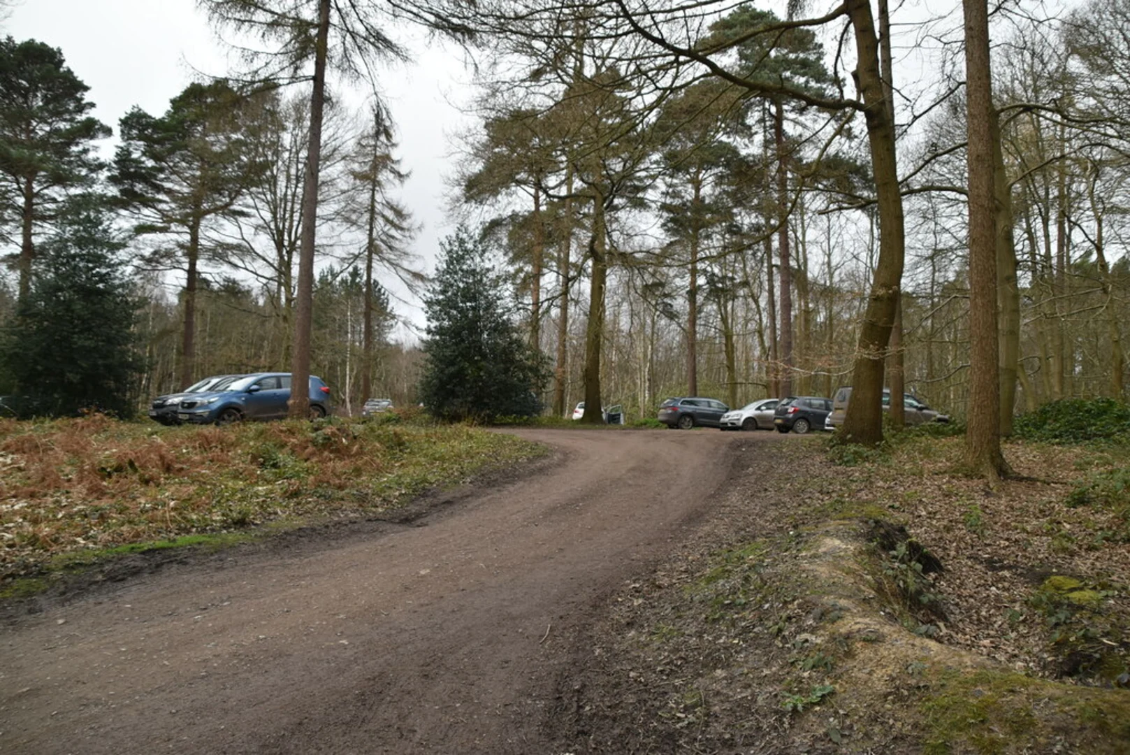 An image depicting the trail Hemsted Forest Loop and its surrounding area.