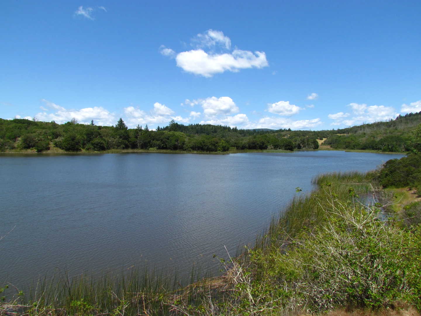 An image depicting the trail Lake Ilsanjo via Spring Creek Out and Back and its surrounding area.