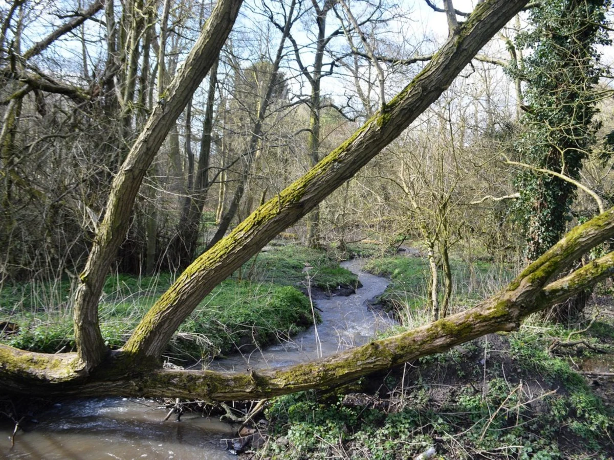 Northycote Country Park Loop