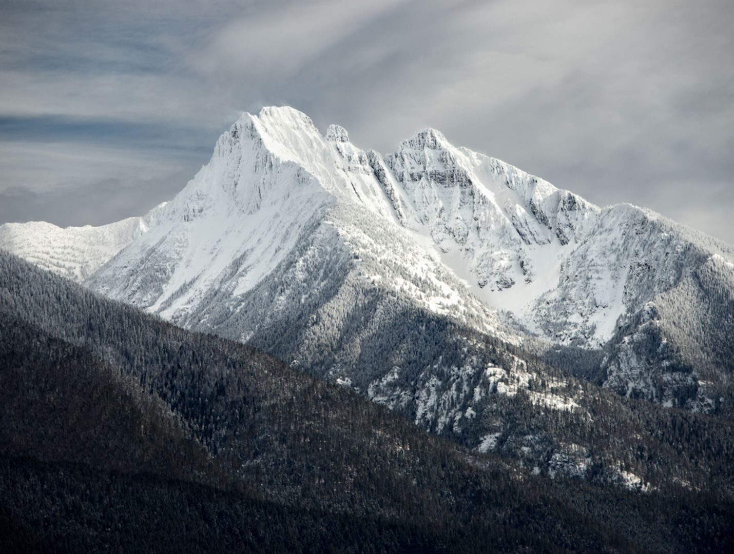 An image depicting the trail Pioneer Mountain Trail and its surrounding area.