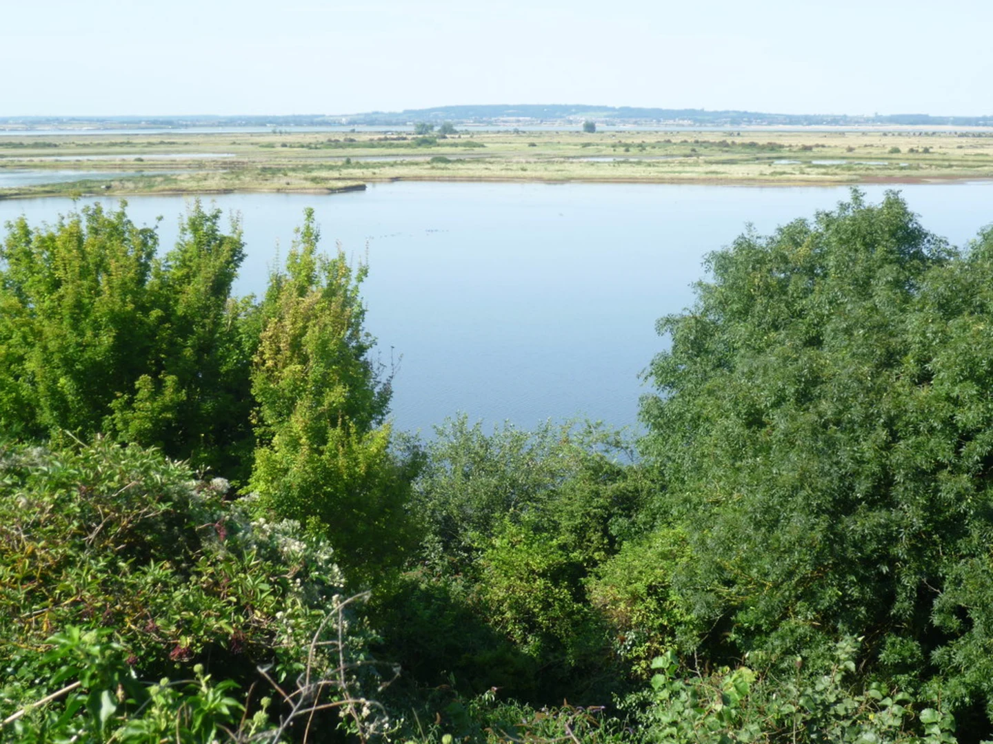 An image depicting the trail RSPB Cliffe Pools Loop and its surrounding area.