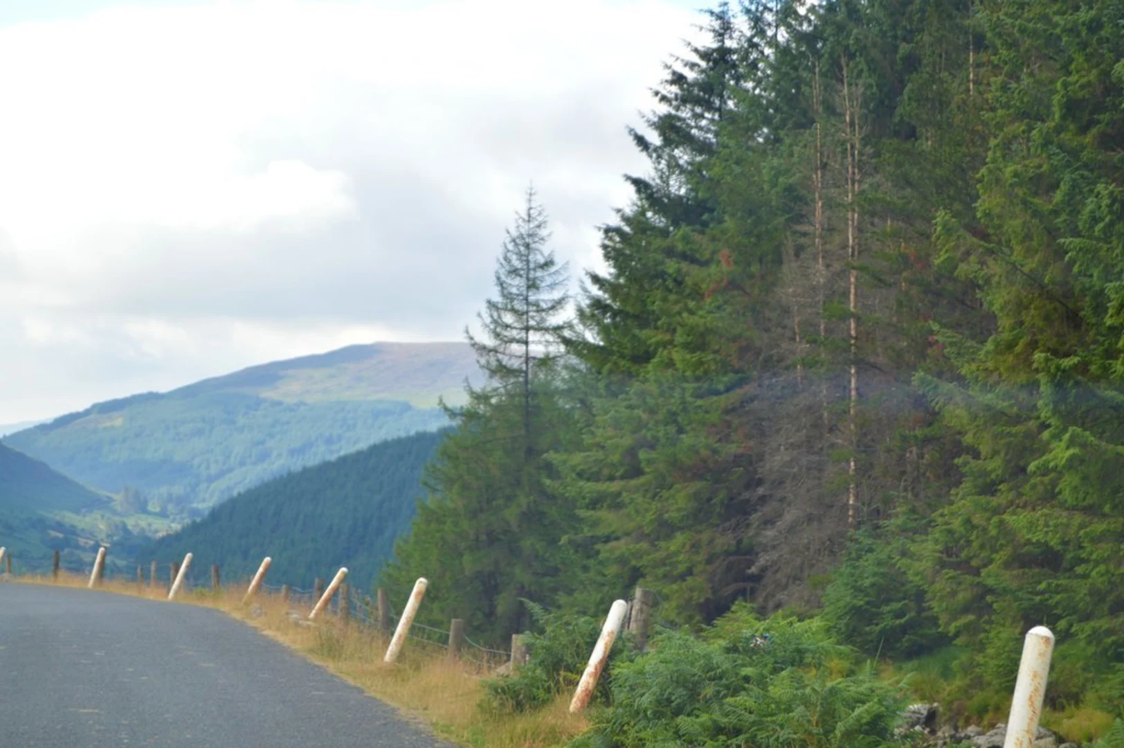 An image depicting the trail Tonelagee and Stoney Top Mountain Loop and its surrounding area.