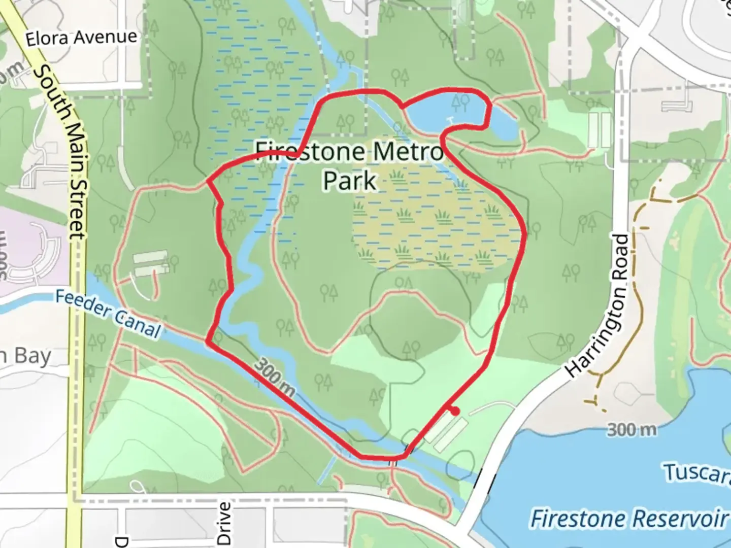 An image depicting the trail Little and Big Turtle Ponds - Firestone Metro Park Loop and its surrounding area.