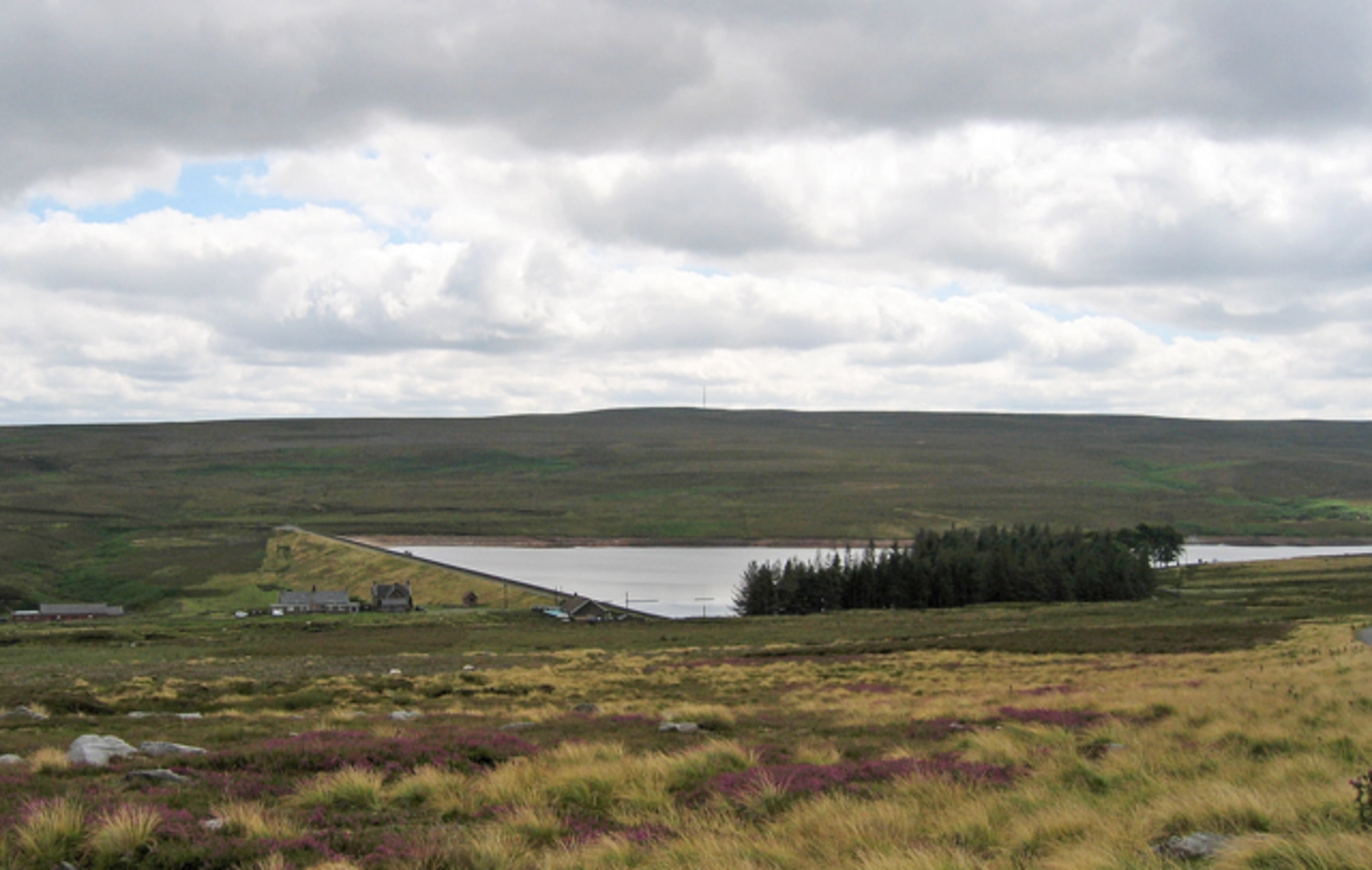 An image depicting the trail Hawburn Head Picnic Area and Waskerley Reservoir Loop and its surrounding area.