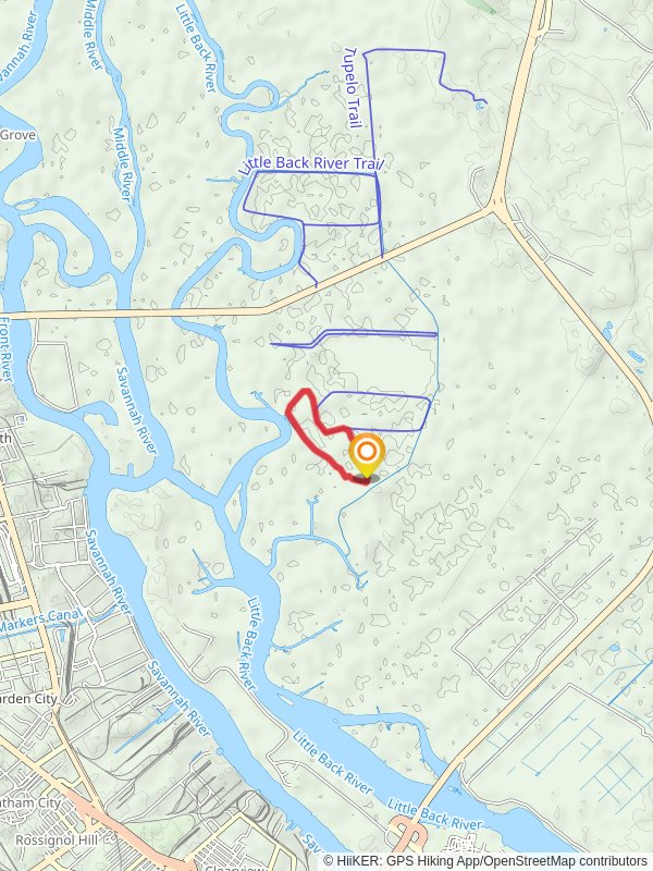 Raccoon Island Trail and Wildlife Drive Loop