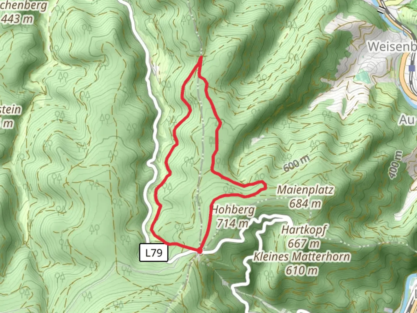 An image depicting the trail Rubachweg and Steinernes Kreuz Loop and its surrounding area.