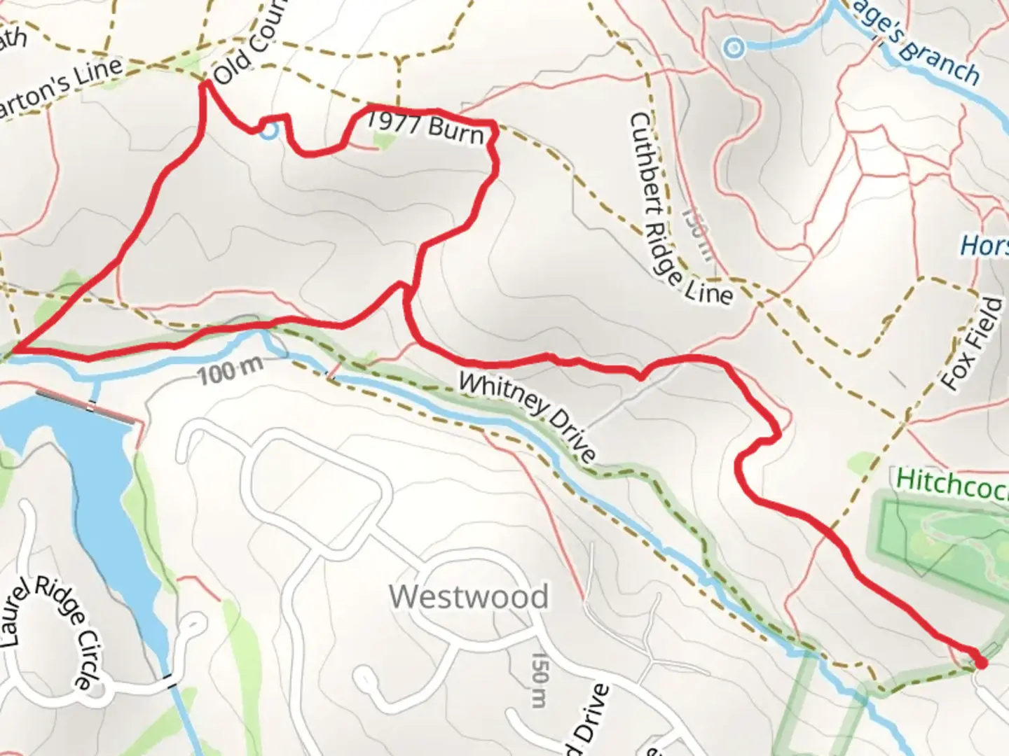 An image depicting the trail Mr Fletcher's Ride, Whitney Drive and Witch Hazel Ride Loop and its surrounding area.
