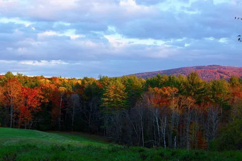 An image depicting the trail Velvet Rocks Trail and its surrounding area.
