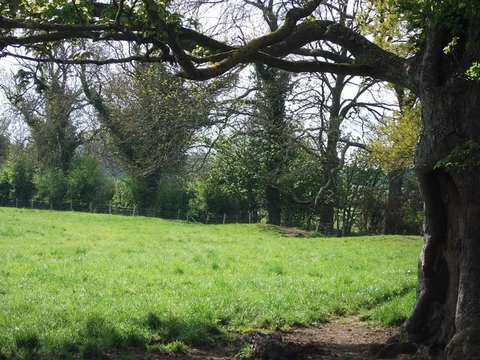 Honington and Idlicote Circular