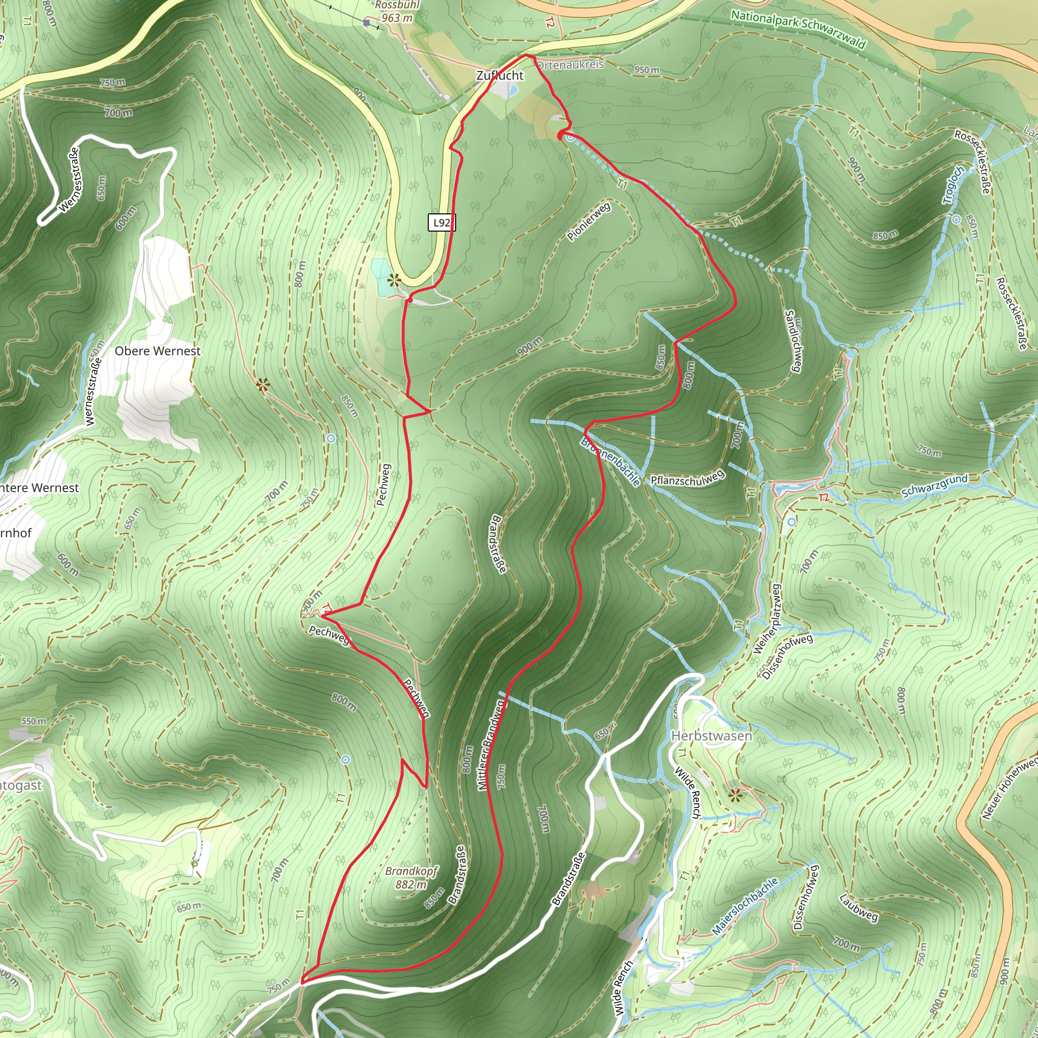 Buchkopfturm and Wilde Rench Loop mobile static map