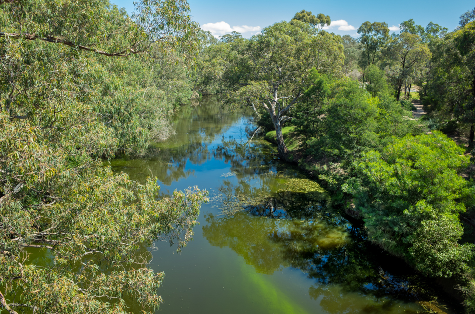 An image depicting the trail Wyndham Park Loop Walk and its surrounding area.