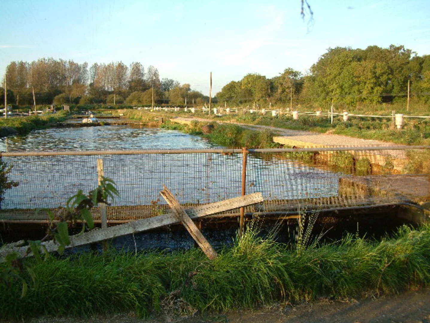 An image depicting the trail Fordingbridge Country Park Loop and its surrounding area.