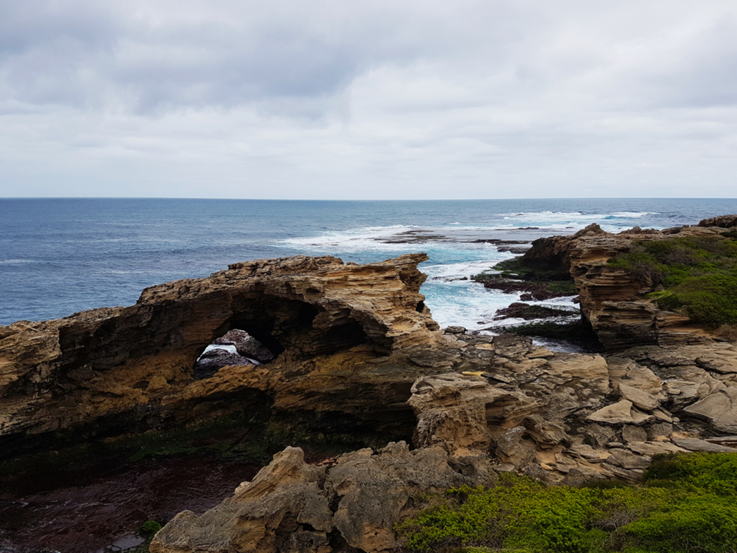 An image depicting the trail Ngank Wen Bidi Walk and its surrounding area.