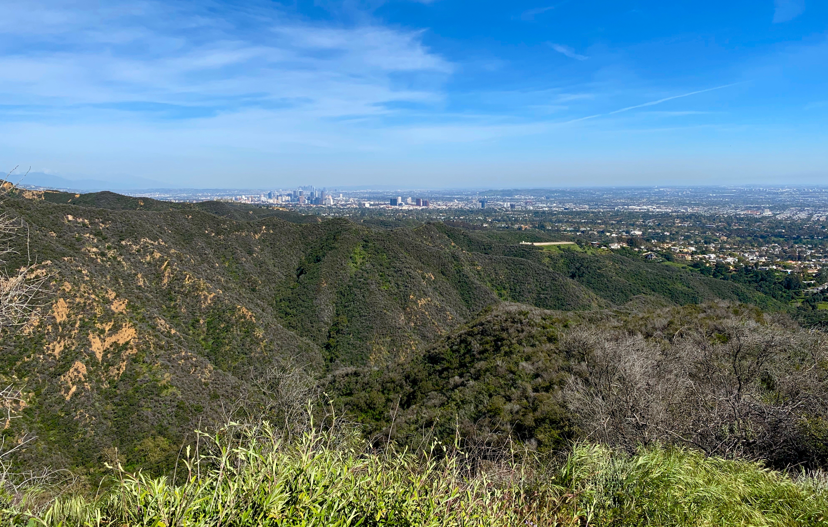 An image depicting the trail Rivas Canyon Trail - Will Rogers Polo Field and its surrounding area.