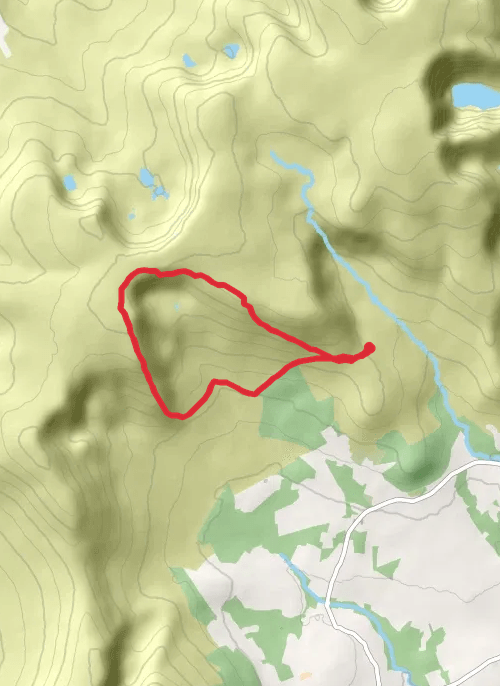 Ned Curran loop mobile static map