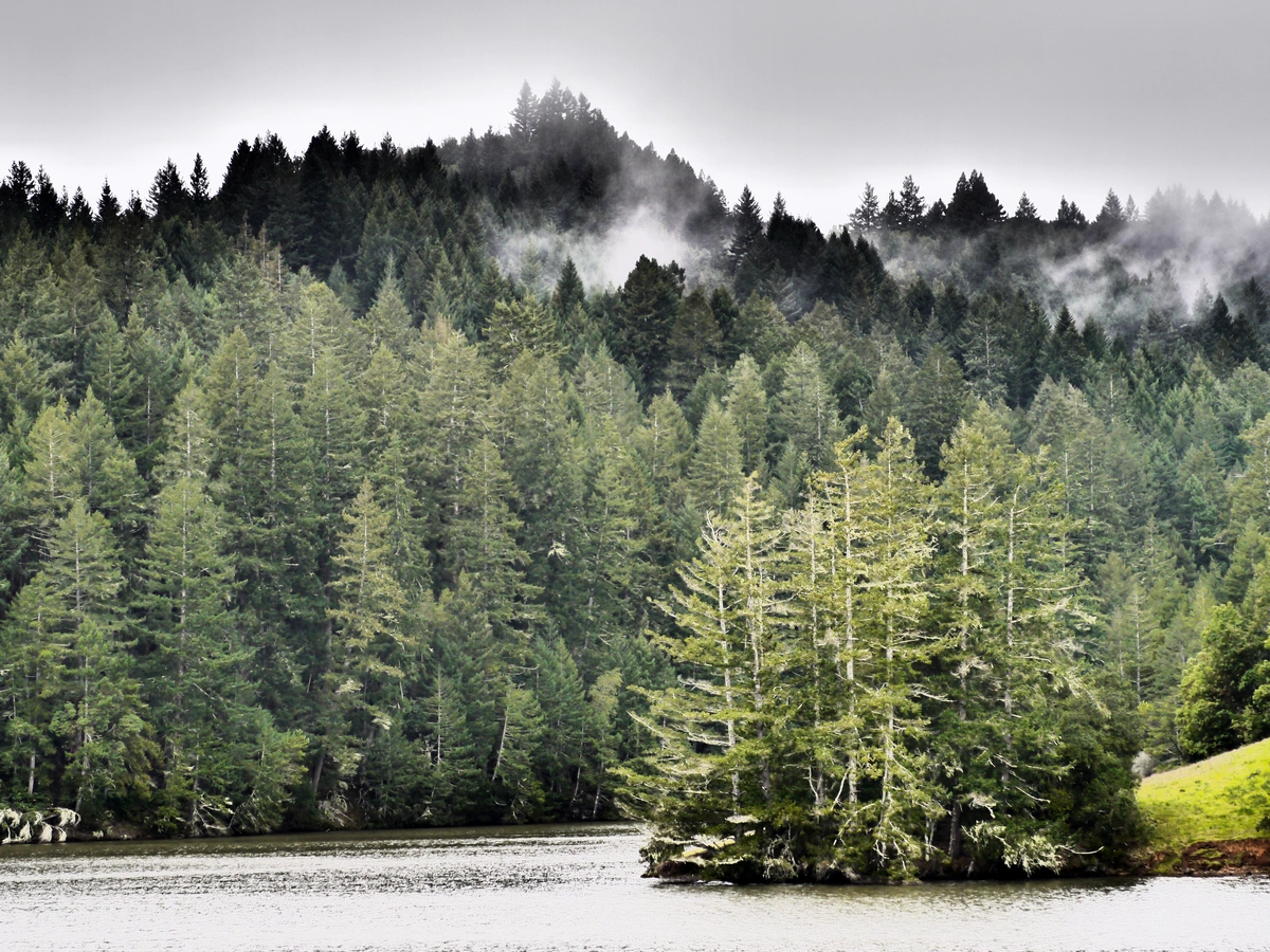 Alpine Lake via Helen Markt Trail