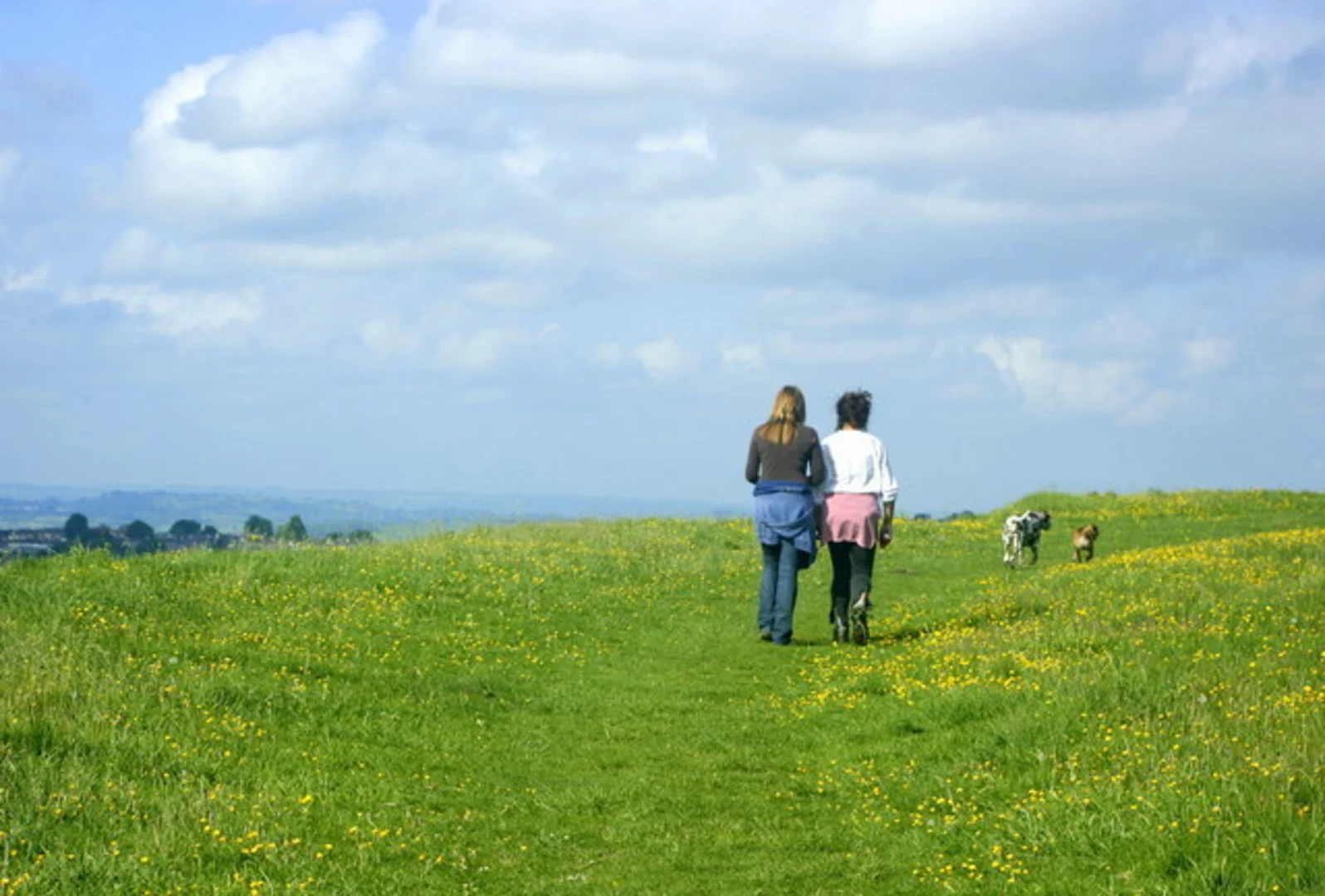 An image depicting the trail Lansdown to Batheaston and its surrounding area.