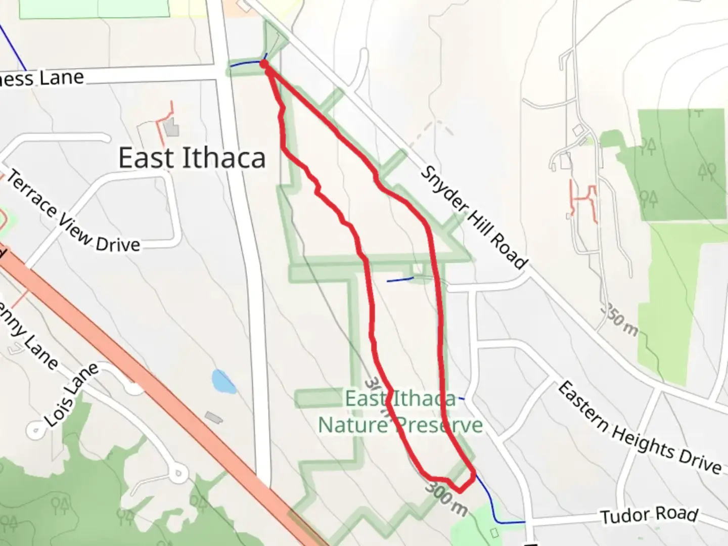An image depicting the trail Pew Trail Loop and its surrounding area.