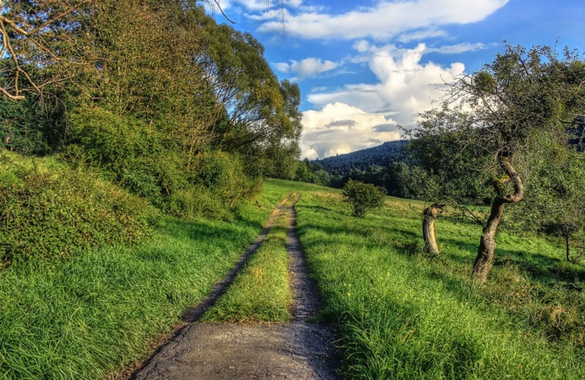 Bad Orb Loop via Spessartweg