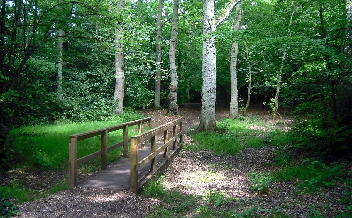 Harrow Weald Common Walk