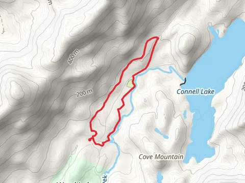 Ward Creek - Salvage Loop Trail