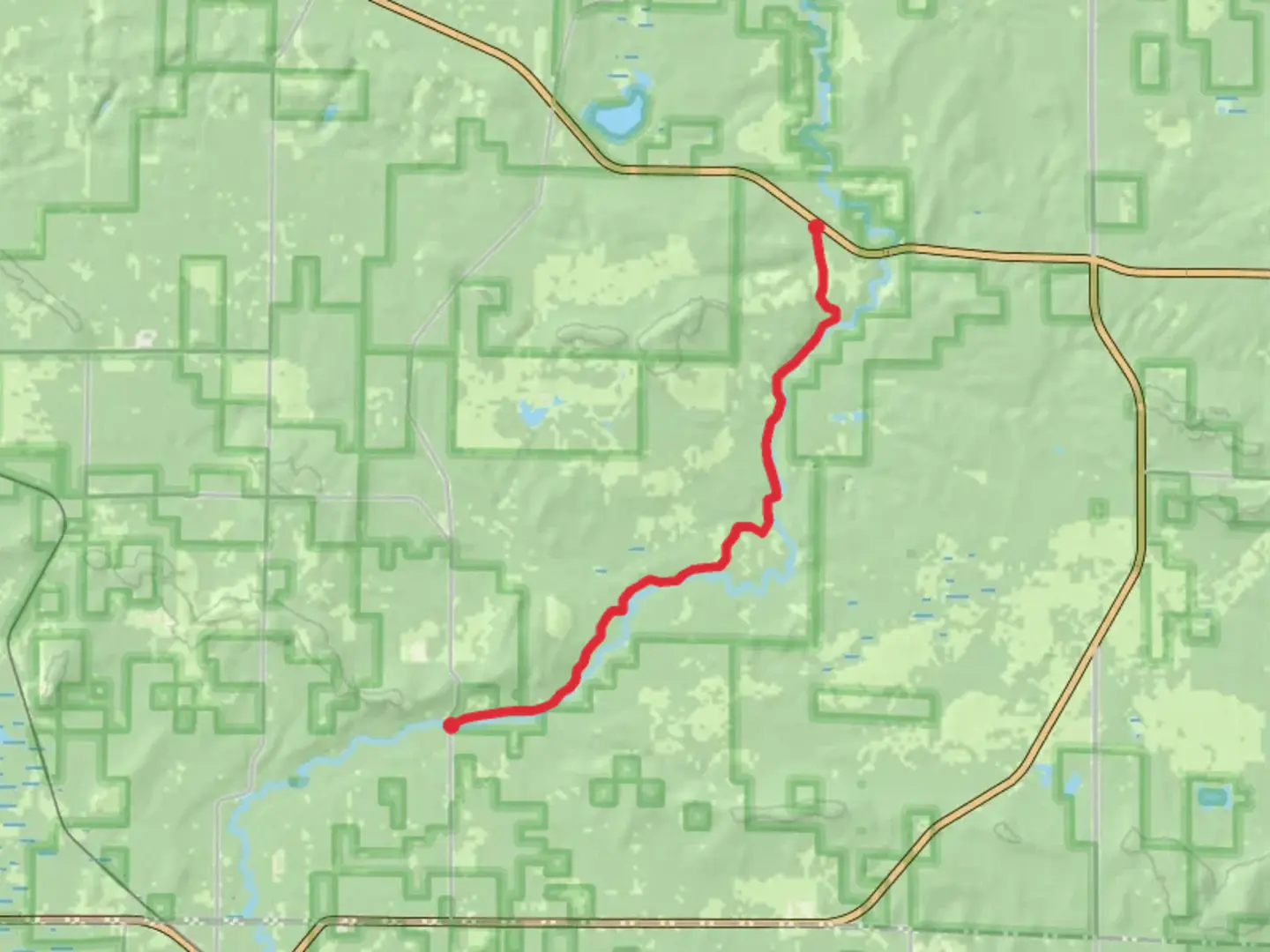 An image depicting the trail Mason Tract Pathway and its surrounding area.
