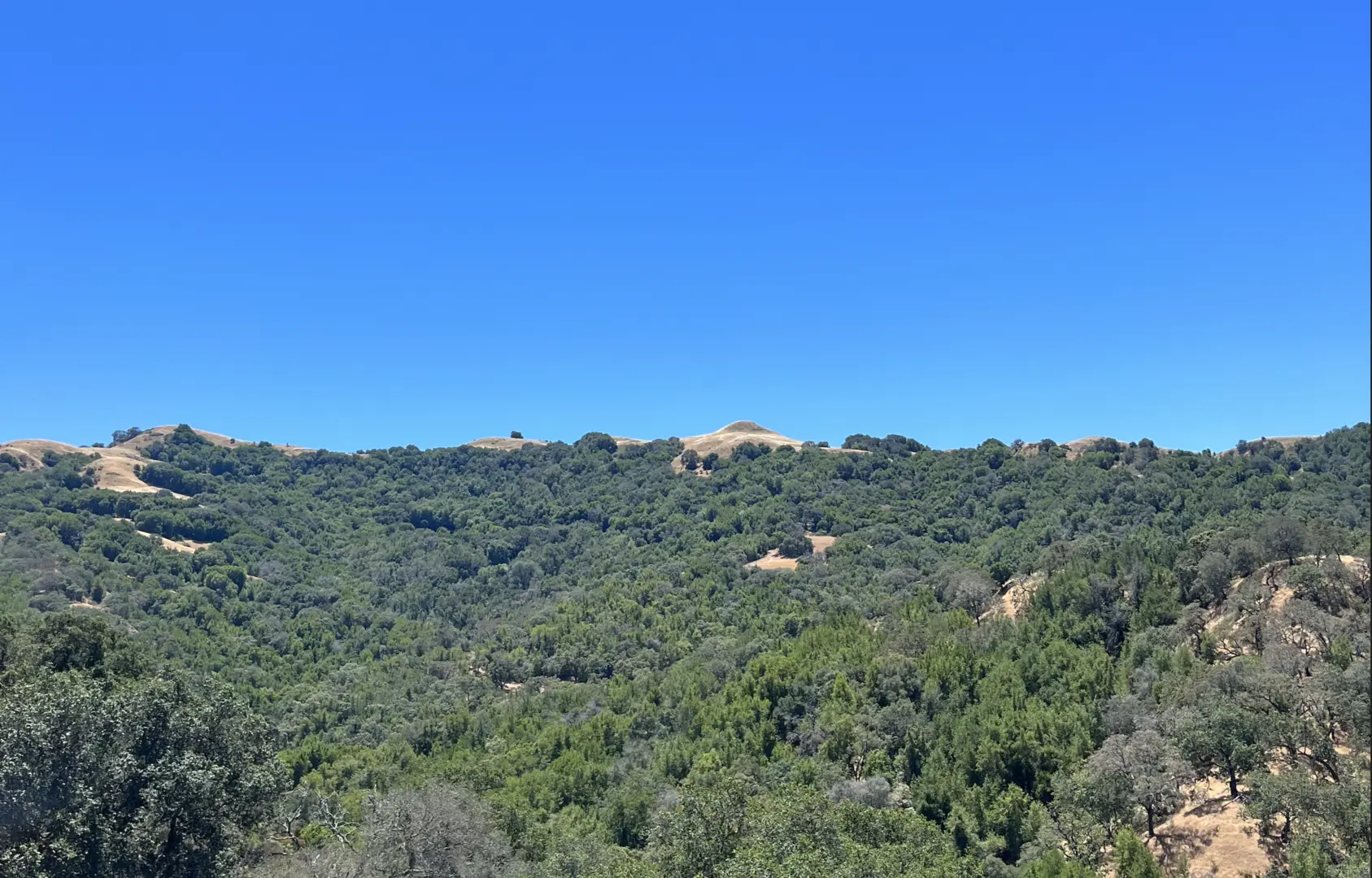 An image depicting the trail Eagle Peak - Las Trampas Ridge and Calaveras Ridge - Virgil Williams Loop Trail and its surrounding area.