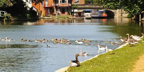 An image depicting the trail Wye to the Thames - Hereford to Oxford and its surrounding area.