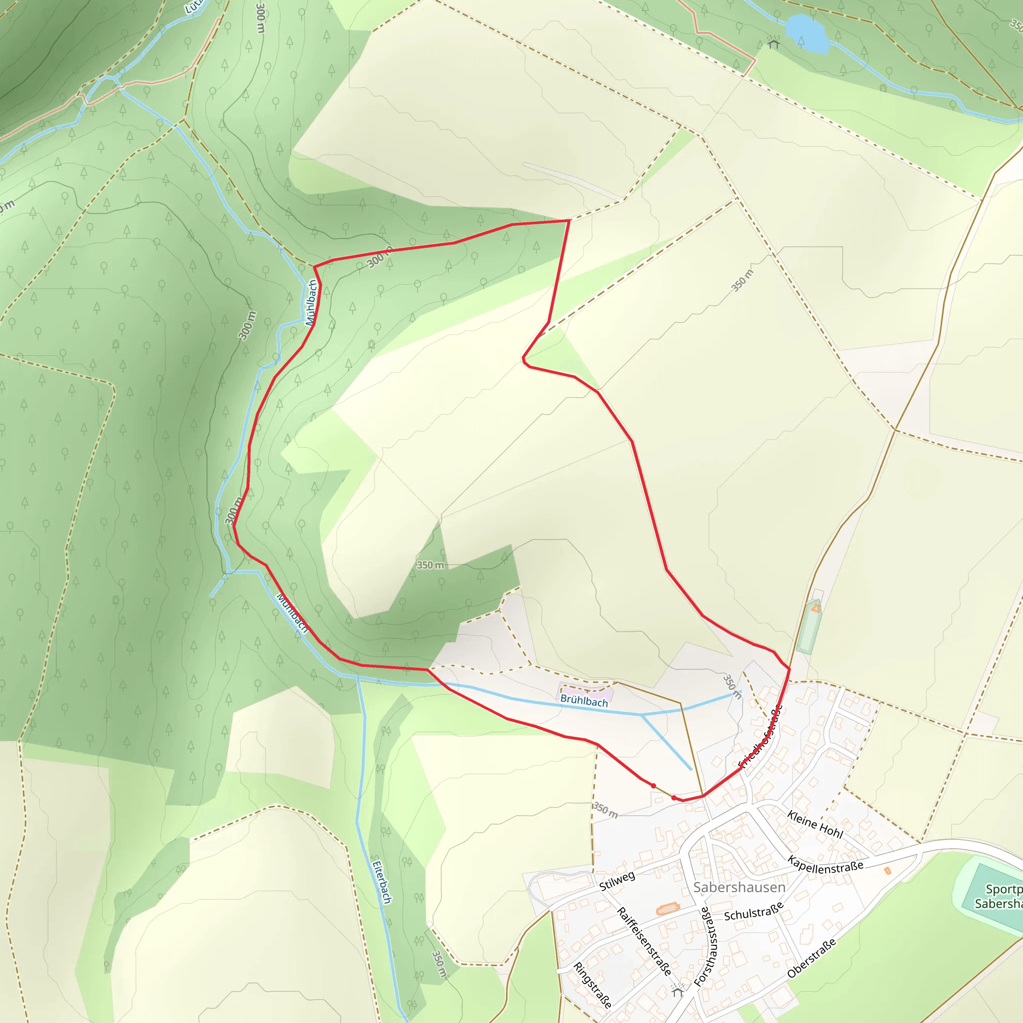 Sabershausen Loop mobile static map