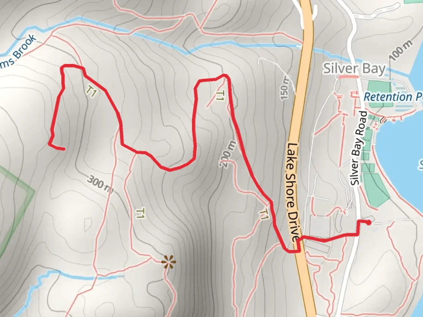 An image depicting the trail Woodside Trail from Silver Bay Road and its surrounding area.