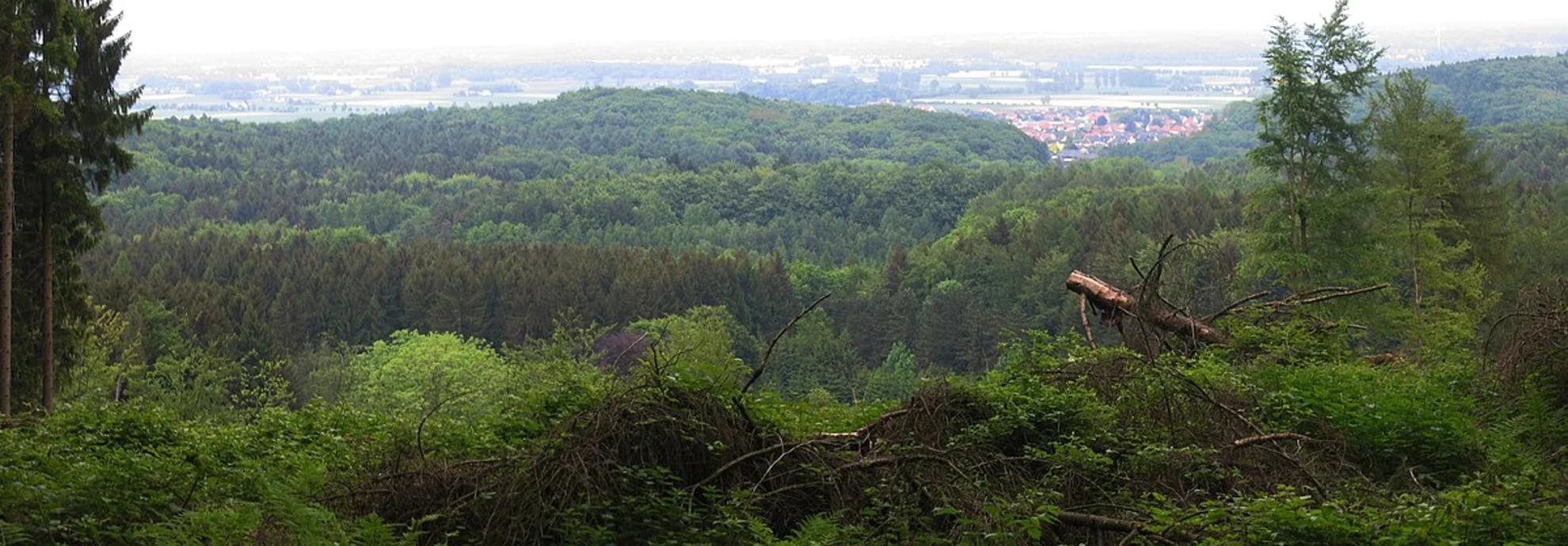 An image depicting the trail Preussisch Oldendorf Loop and its surrounding area.