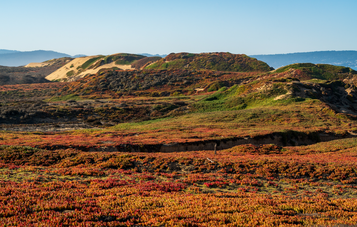 Monterey Bay Coastal Trail - Short