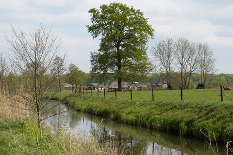 Bunschoten - Spakenburg to Achterveld via Overbosch and Koninginneweg