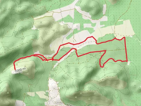 Path of the Lynx PR TO 11