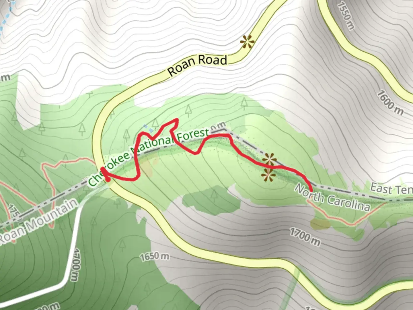 An image depicting the trail Round Bald via Appalachian Trail and its surrounding area.