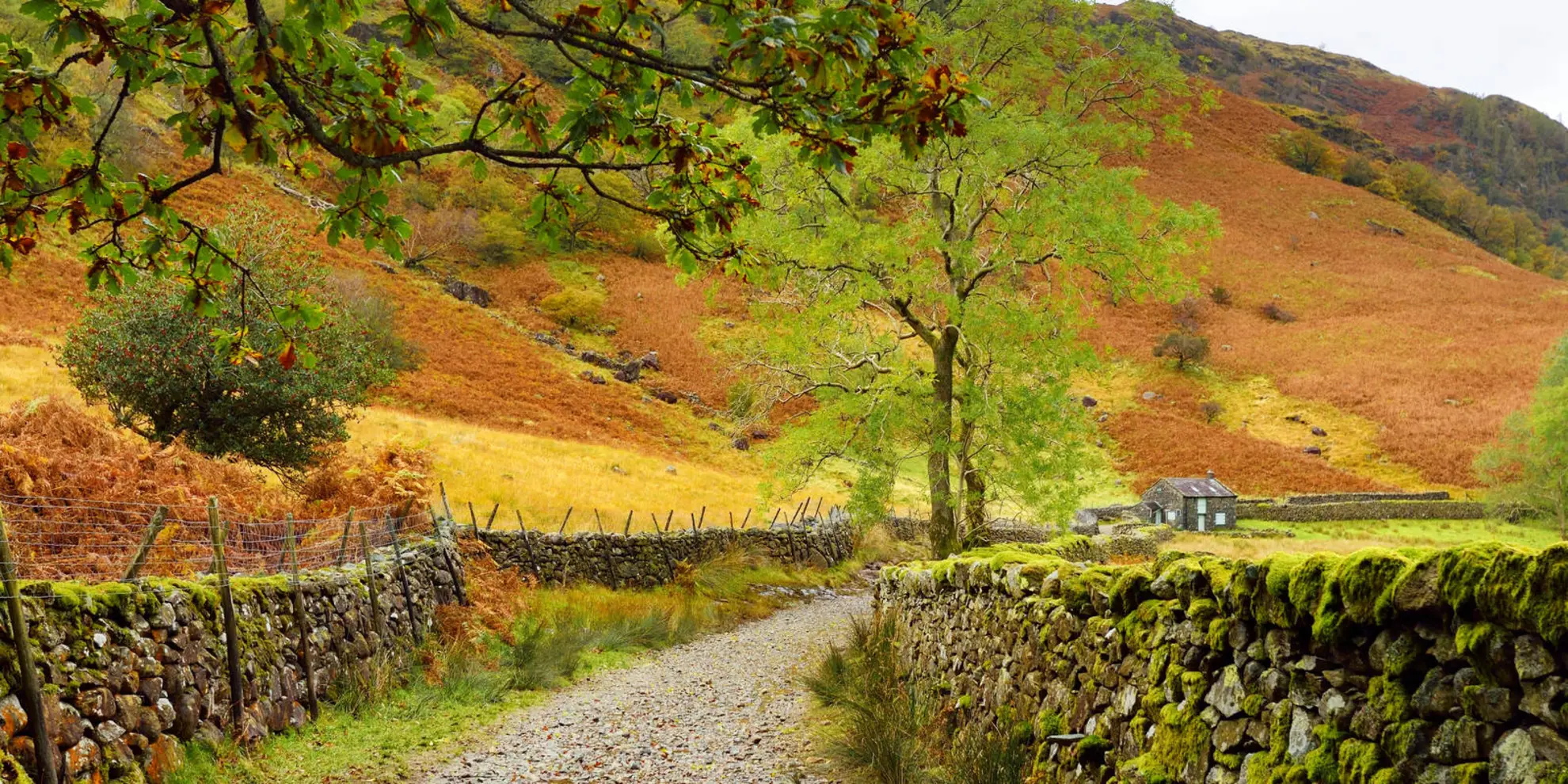 An image depicting the trail Eagle Crag - Sergeant's Crag and Ullscarf and its surrounding area.