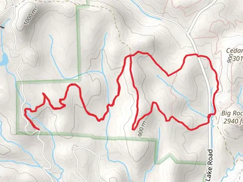 Twixt Trail, Cannon Creek Trail and Wilkie Trail Loop