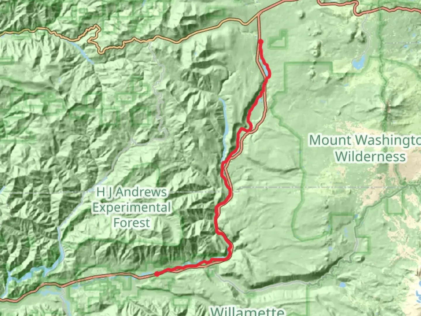 An image depicting the trail McKenzie River Trail and its surrounding area.