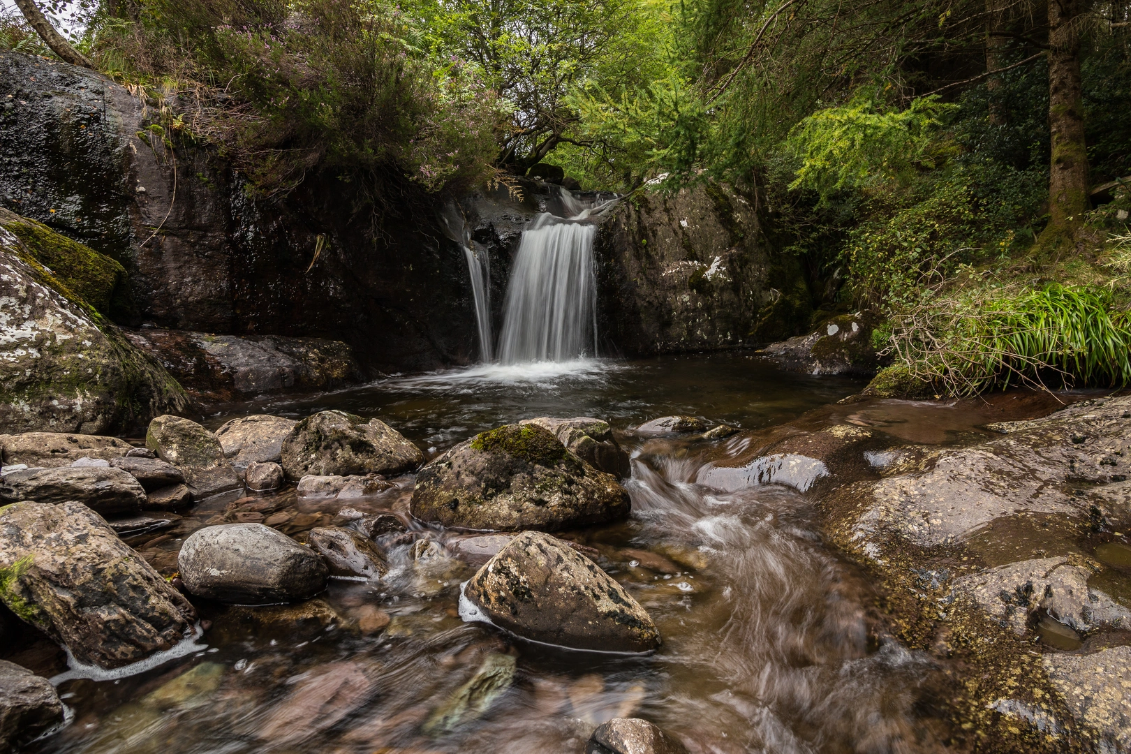 An image depicting the trail Cumminadiller Lake Loop and its surrounding area.