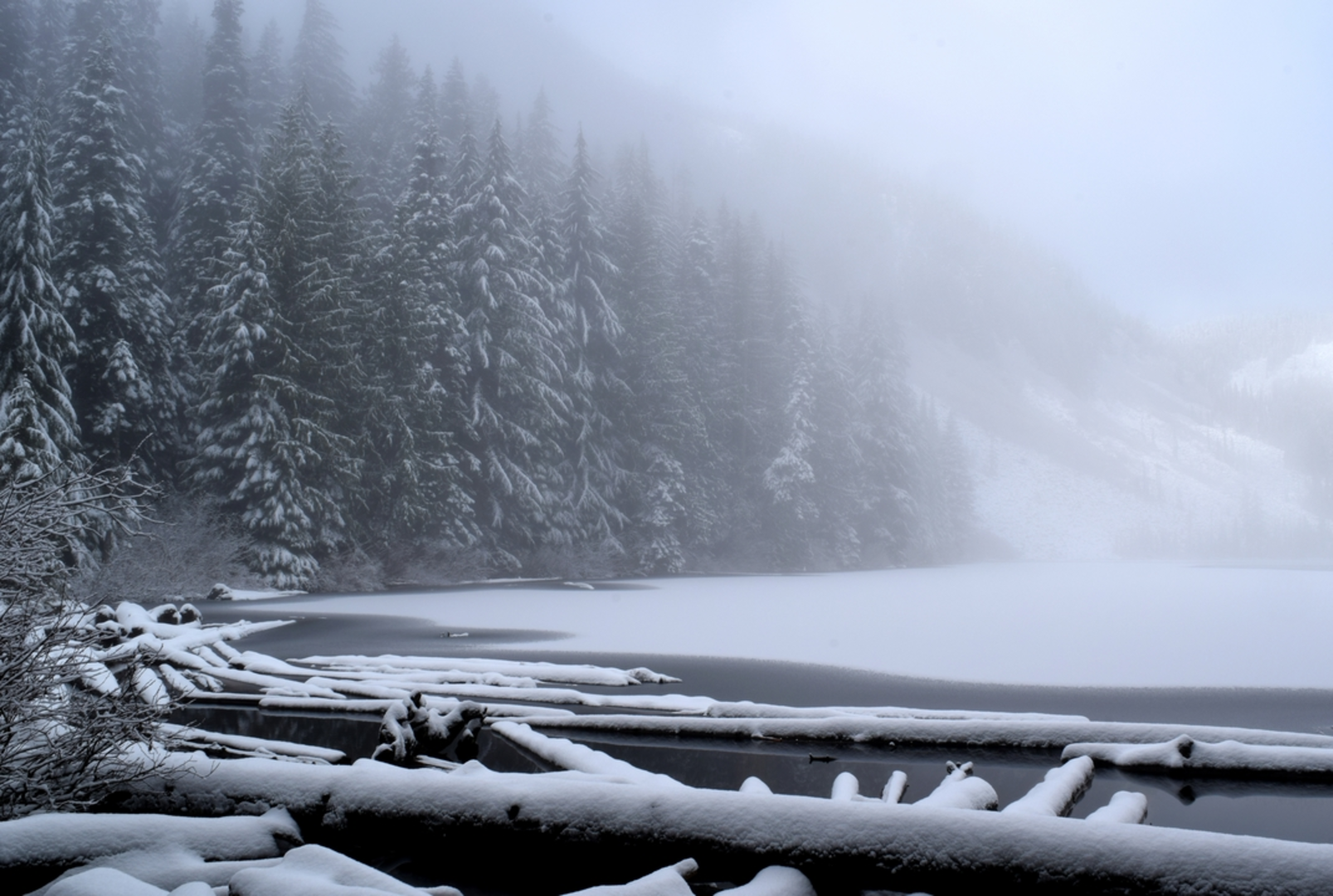 An image depicting the trail Kaleetan Lake Trail and its surrounding area.