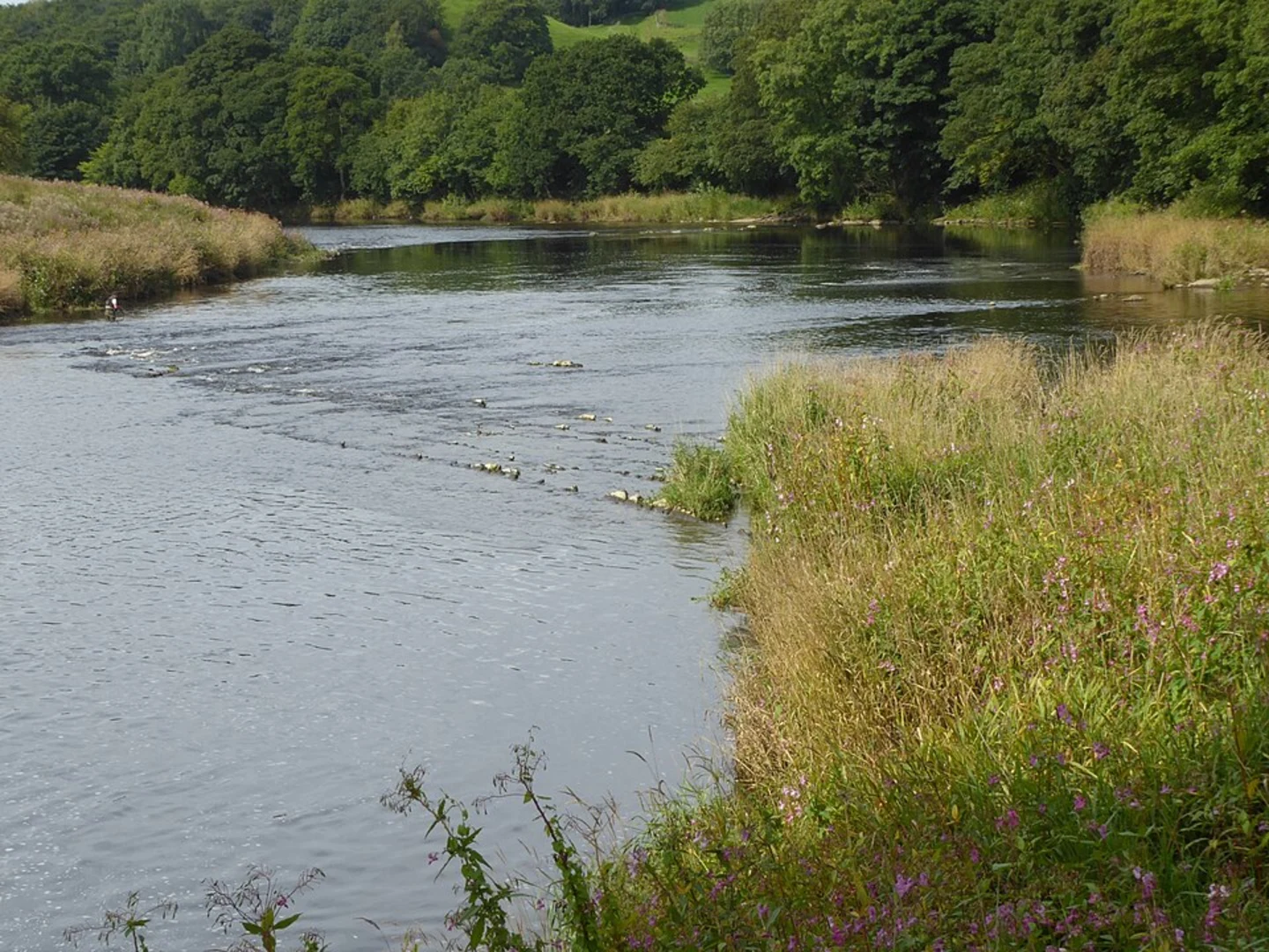 An image depicting the trail Hurst Green and Raid Deep Wood and its surrounding area.