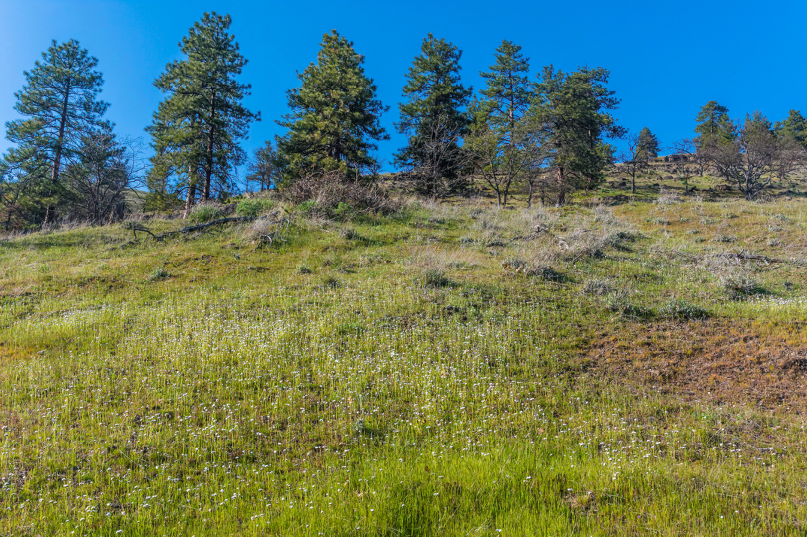 An image depicting the trail Labyrinth Trail and its surrounding area.