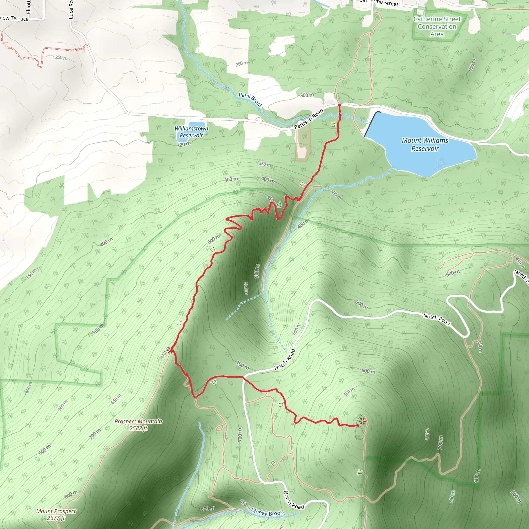 Mount Williams via Appalachian Trail mobile static map