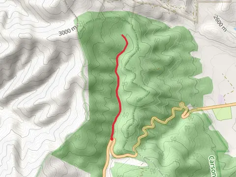 Rio Fernando De Taos